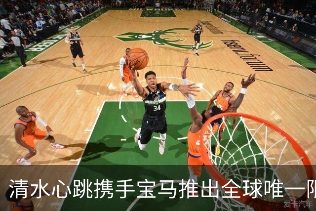 清水心跳携手宝马推出全球唯一限量轿车